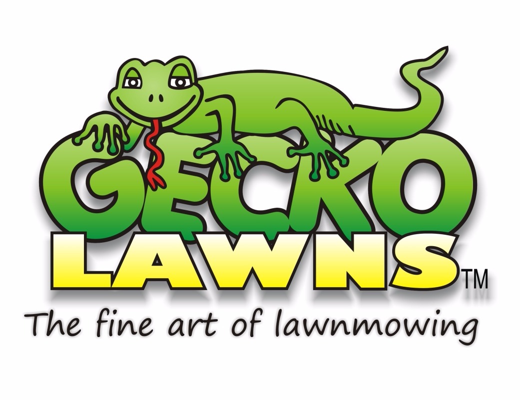 Gecko Lawns logo and Tagline