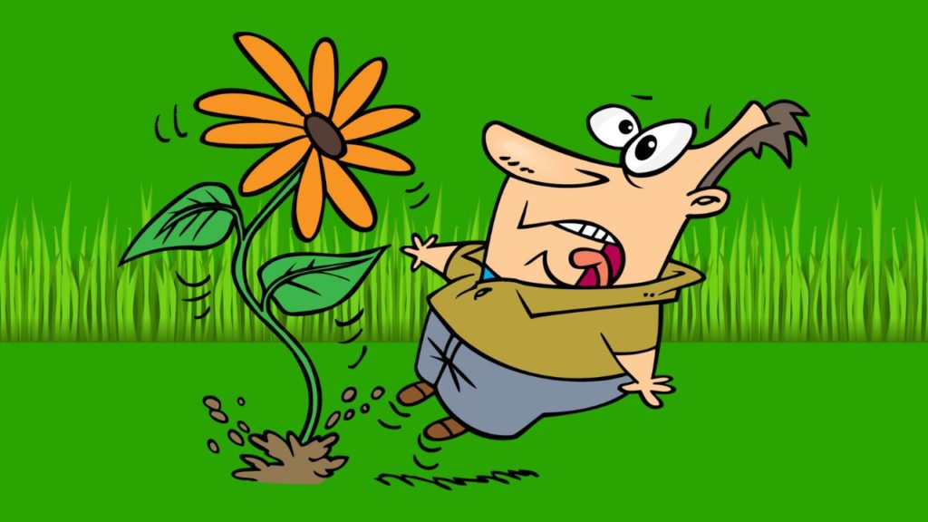 growing your lawn mowing business with referrals